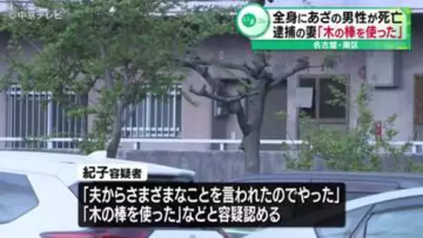 「夫からさまざまなことを言われたのでやった」「木の棒を使った」　全身にあざの男性が死亡　傷害の疑いで男性の妻逮捕　名古屋・南区