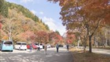 赤や黄色に色づく木々･･･紅葉見ごろ せせらぎ街道　岐阜