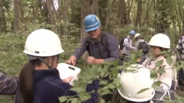 206人中55人が移住者、山奥の集落に人が集まるワケとは？　子どもたちは“ドングリ拾い”で森づくり　岐阜・郡上市