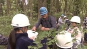 206人中55人が移住者、山奥の集落に人が集まるワケとは？　子どもたちは“ドングリ拾い”で森づくり　岐阜・郡上市