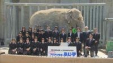 アジアゾウ「ふじ子」実物大の像が公開　地元高校生らが制作　愛知・岡崎市　東公園動物園