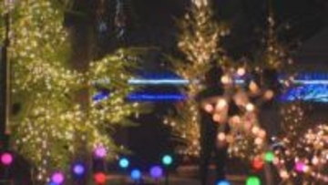 デンパーク「ウィンターフェスティバル」11月21日～来年1月12日開催