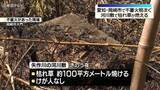 「不審火相次ぐ　河川敷で約100平方メートル焼ける火事　愛知・岡崎市」の画像1