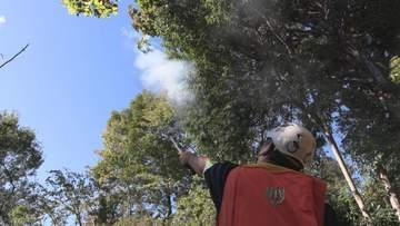 花火でクマ撃退　相次ぐクマ情報受け熊野古道で山岳救助訓練