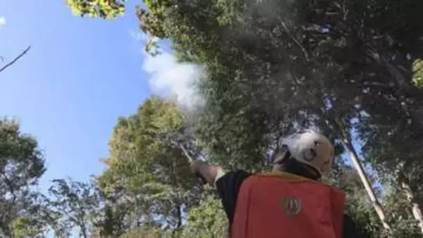 花火でクマ撃退　相次ぐクマ情報受け熊野古道で山岳救助訓練