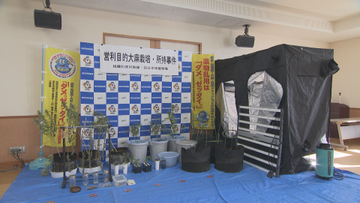 大麻を自ら栽培して売りさばいたか　営利目的所持の疑いで会社員逮捕　「わたしが吸うため」と否認