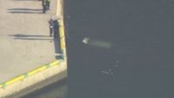 乗用車が海に転落　男性が救助されるも意識なし　三重・四日市市の富田港　乗用車は前進しながら転落か