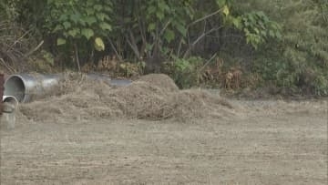 「へその緒がついた赤ん坊が…」 空き地に赤ちゃんの遺体を遺棄か 母親とみられる女(19)を逮捕