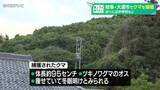 「中学校の近くでツキノワグマ捕獲　冬眠明けか　痩せた体長95センチほどのオス　岐阜・大垣市」の画像1