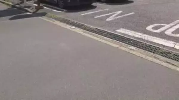 中日・嶋ヘッドコーチを書類送検   運転中に自転車と衝突し女性けが