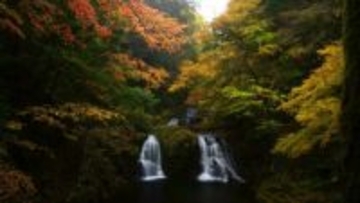 名勝「赤目四十八滝」で紅葉シーズン始まる　見頃は11月中旬から下旬ごろの見込み　ライトアップイベントも開催中　三重・名張市