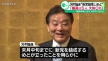 「日本中面白くなりますよ」新党結成へ　日本保守党離党の河村たかし議員　１２月中旬までに結成するめど立つ