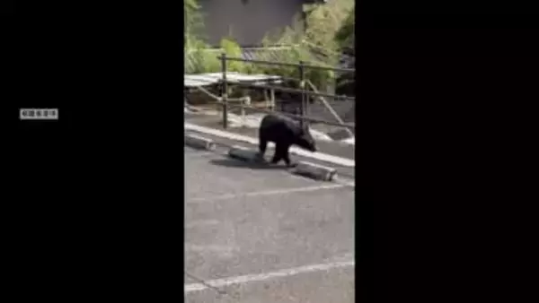 クマ出没で対策強化　地元猟友会が山間部に檻を設置　パトロールで警戒呼びかける　岐阜・大野町