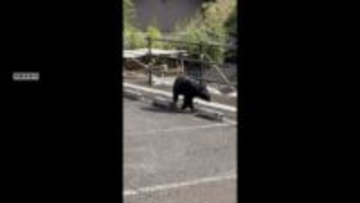 クマ出没で対策強化　地元猟友会が山間部に檻を設置　パトロールで警戒呼びかける　岐阜・大野町