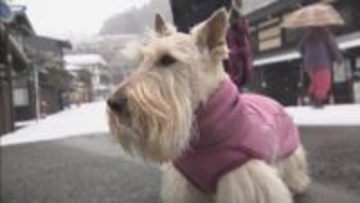 【今季最長寒波】三重・いなべ市で13センチの積雪を観測　交通にも影響（22日午前11時40分ごろ放送）