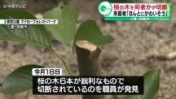 桜の木6本を何者かが切断　今年2月に植えられたばかり　三重・鈴鹿市
