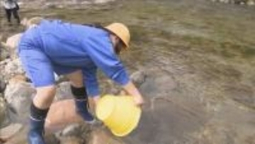 小学生が稚アユ放流　郷土学習などを行う団体が実施　岐阜・高山市