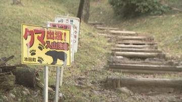 岐阜・池田町の林道で男性がクマに襲われ軽傷　新たなワナ設置し警戒