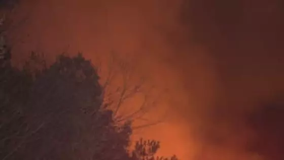 愛知・岡崎市　産業廃棄物の工場出火災　付近の山林に延焼も