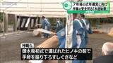 「7年後の式年遷宮に向け　作業の安全祈る「木造始祭」　伊勢神宮」の画像1