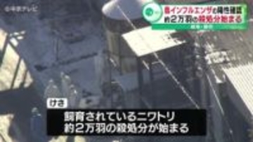高病原性鳥インフルエンザの陽性確認　約２万羽の殺処分始まる　岐阜・関市