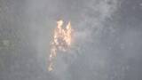 「【速報】三重・津市の山林で火事　現在も延焼中　けが人の情報なし（19日午後6時）」の画像1