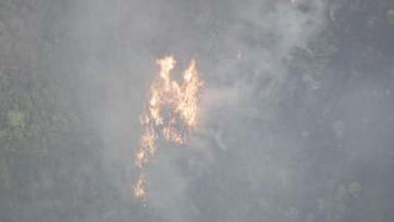 【速報】三重・津市の山林で火事　現在も延焼中　けが人の情報なし（19日午後6時）