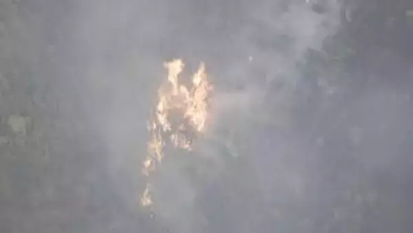 【速報】三重・津市の山林で火事　現在も延焼中　けが人の情報なし（19日午後6時）