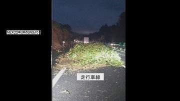 雨で土砂崩れ　東名阪自動車道で１１時間の通行止め　けが人なし
