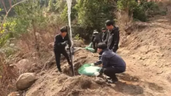 クマノザクラの植樹祭　参加者「孫も連れて見に来たい」　三重・紀宝町