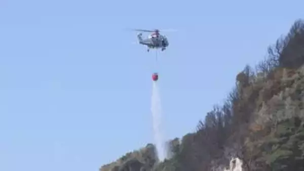 豊橋の山火事 丸1日後にほぼ消し止められる 約8ヘクタールが焼ける