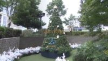 街はクリスマスモード 名古屋駅エリアではハリー・ポッターとのコラボツリー登場　最新おもちゃのトレンドは“キダルト”