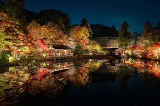 東山動植物園「もみじ狩り・紅葉ライトアップ」11月中旬から開催　「逆さもみじ」「五色もみじ」など500本の紅葉が幻想的に輝く　重要文化財「温室前館」モチーフのオブジェも登場