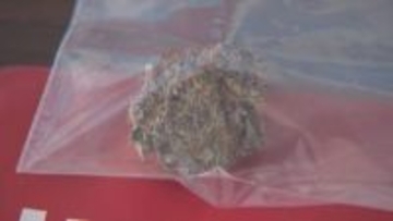 乾燥大麻を譲り受けたとして男逮捕　営利目的か
