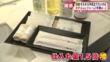 GWそろそろ予定立てたいけど…　ホテルもレジャーも「中東が…」