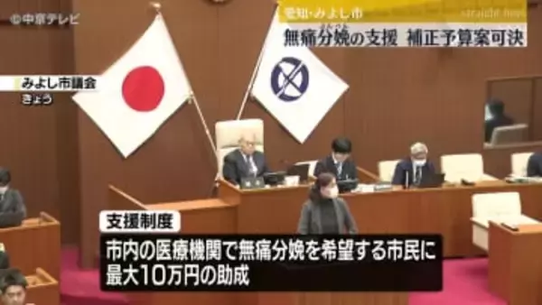 “無痛分娩への支援”盛り込みの補正予算案　全会一致で可決・成立　愛知・みよし市
