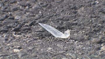 路上で倒れていた男性が死亡　ひき逃げ事件として逃げた車の行方を追う　愛知・東海市