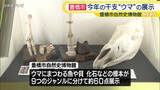 「企画展「干支展　ウマ」　ウマにまつわる標本を約60点展示　愛知・豊橋市自然史博物館」の画像1