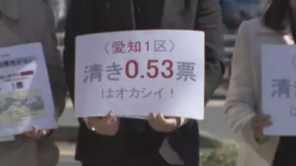「１票の格差」訴訟　選挙の無効求める　名古屋市の男性ら25人