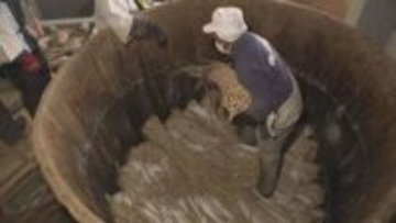 長さ１メートル超の“守口だいこん”　漬け込み作業が始まる　岐阜市
