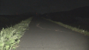 ２９日　愛知県豊川市の堤防道路　自転車の男子高校生（１８）が軽自動車にはねられ頭蓋骨を折るけが