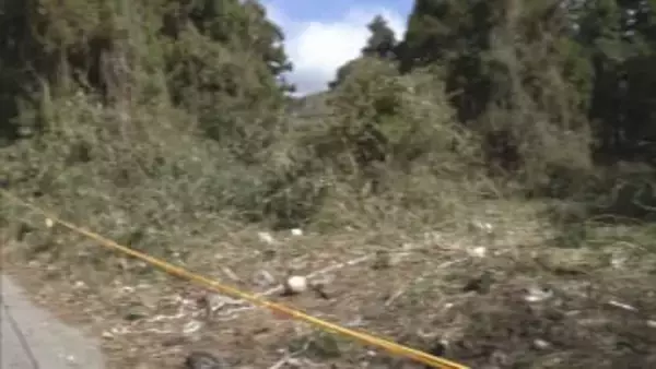 岐阜・垂井町の女性遺体を遺棄か　シリア国籍の男逮捕