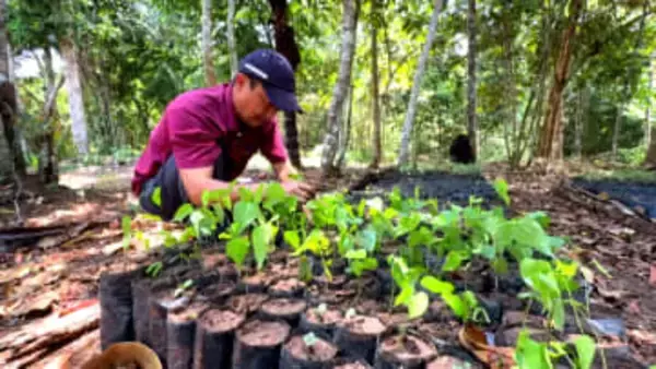 地球の裏側で木を植え続けて30年　先住民が“家族”と呼ぶ日本人の挑戦　「植える文化を人の心に植えていきたい」