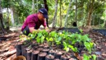 地球の裏側で木を植え続けて30年　先住民が“家族”と呼ぶ日本人の挑戦　「植える文化を人の心に植えていきたい」