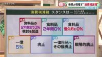 【衆院選2026】消費税減税の“検討を加速”　スーパーでは歓迎と疑問の声