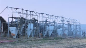 養豚場で火事　“ブランド豚”約2000頭が死ぬ　豚舎4棟が全焼　愛知・西尾市