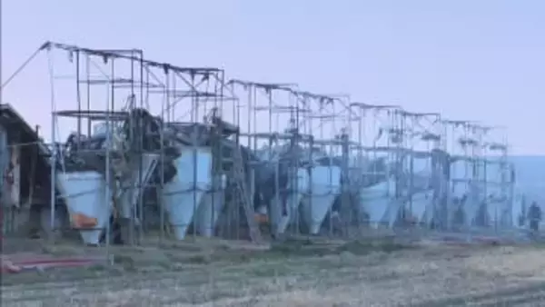 養豚場で火事　“ブランド豚”約2000頭が死ぬ　豚舎4棟が全焼　愛知・西尾市