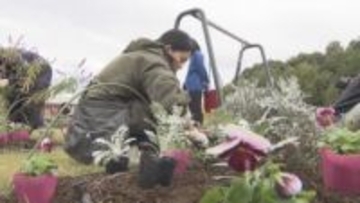 愛・地球博記念公園に２０００鉢の花　５０年続く緑化活動　　愛知・長久手市