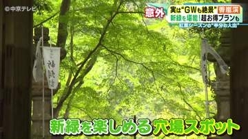 “ＧＷも絶景” 秋の名所「香嵐渓」　新緑を堪能！超お得プランも　愛知・豊田市