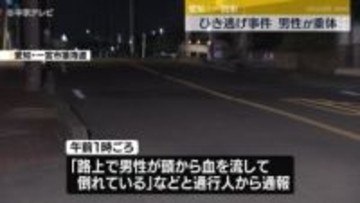 「路上で男性が頭から血を流して倒れている」　男性が意識不明の重体　ひき逃げ事件として逃げた車の行方を追う　愛知・一宮市